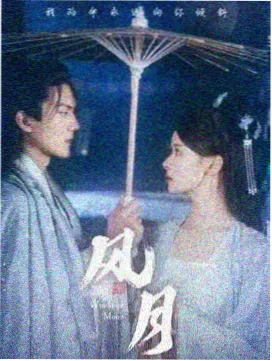 春季整架新增剧集标签，题材图鉴陈列实拍占位